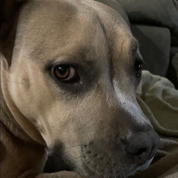 Meet your Posher, David - Picture 1 of 1